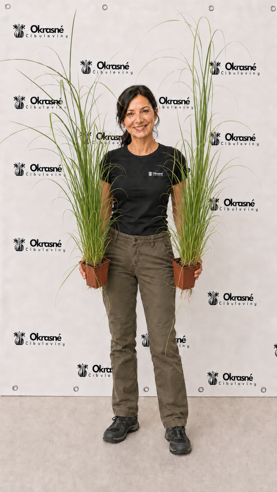 cortaderia cortaderia